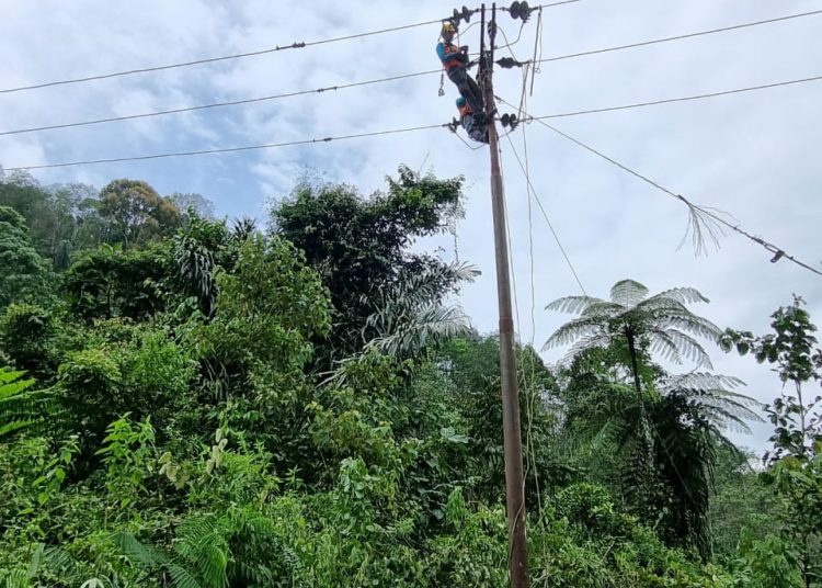 Petugas PLN UID Sumut, saat memulihkan kelistrikan pasca tanah longsor yang terjadi di Kecamatan Panyabungan Selatan, Kabupaten Madina.(Satunusantara news/HO-Humas PLN UID Sumut).