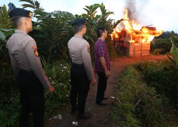 Polda Sumut kembali ratakan gubuk narkoba dan judi di Deli Serdang.