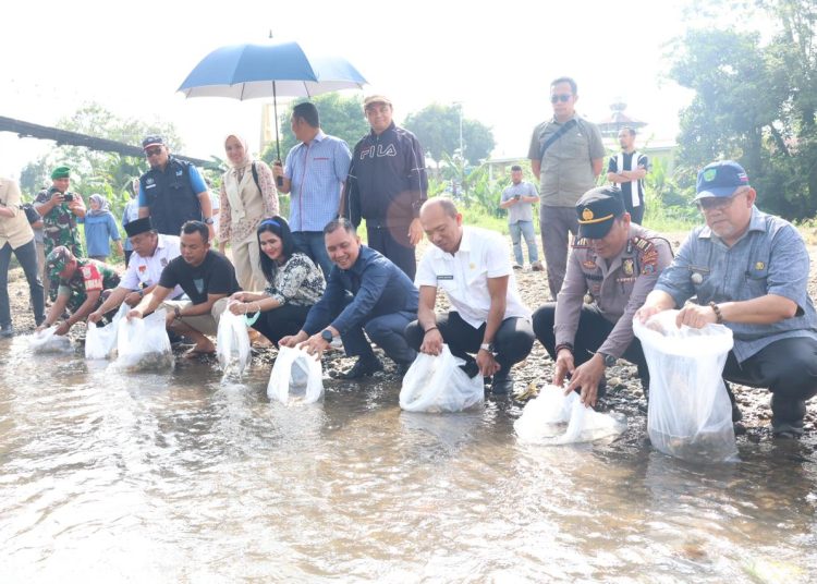 Sekda Tapsel Sofyan Adil (nomor empat dari kanan) saat melakukan penebaran benih ikan nila.(Satunusantara news/HO-Prokim Tapsel).
