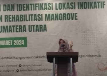 BRGM laksanakan percepatan rehabilitasi mangrove dengan pendekatan padat karya  M