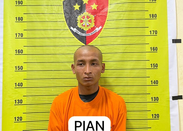 Seorang warga Karo, IAN (23)  pelaku curas terhadap turis asal Prancis ditahan di Polres Tanah Karo.(Satunusantara news/HO-Humas Polda Sumut).