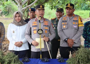 Kapolda Sumut: ladang ganja yang ditemukan di Madina gunakan teknologi satelit