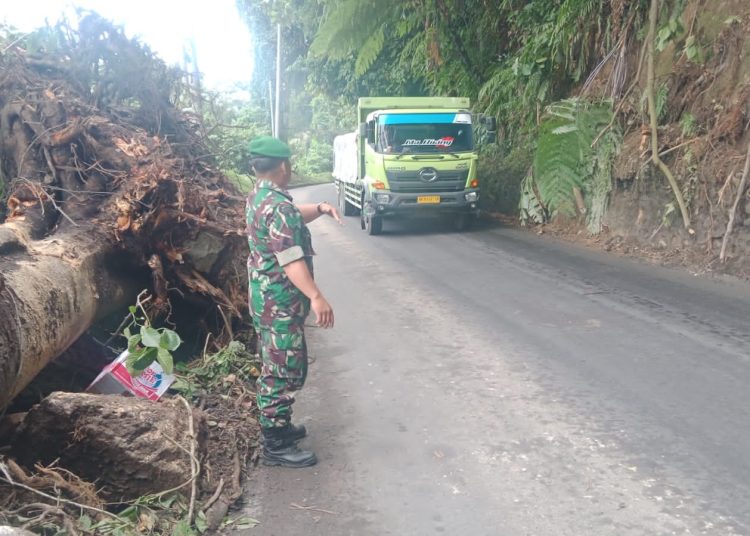 Personel Koramil 0204-03/Sibolangit membantu proses evakuasi tanah longsor di jalur Medan-Berastagi.(Satunusantara news/HO-Pendim 0204/Deli Serdang).