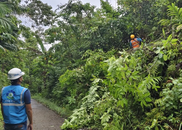 Petugas PLN sedang melakukan pengawasan kegiatan perampalan pohon di Desa Sifitu Banua, Kecamatan Somambawa, Nias, (Satunusantara news/HO-Humas PLN UID Sumut).