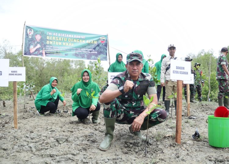 Dandim 0208/Asahan Letkol Inf Muhamad Bassarewan, saat melaksanakan penanaman bibit mangrove di desa Sarang Helang, Kecamatan Sei Kepayang Timur, Kabupaten Asahan.(Satunusantara news/HO-Kodim 0208/Asahan)