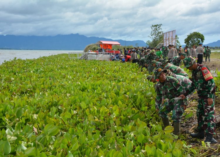 Prajurit Kodim 0210/TU bersama masyarakat membersihkan eceng gondok di Pantai Pelangi Desa Lumban Pea, Kecamatan Balige, Kabupaten Toba.(Satunusantara news/HO-Pendim 0210/TU).