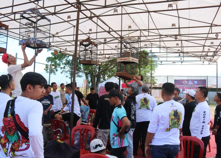 Kodim 0309/Solok menggelar lomba kicau burung bertajuk "Dandim Cup" yang berlangsung meriah dan diikuti oleh ratusan peserta dari berbagai daerah, mulai dari pecinta burung lokal hingga komunitas burung dari luar kota luar provinsi.(Satunusantara news/HO-Pendim 0309/Solok).