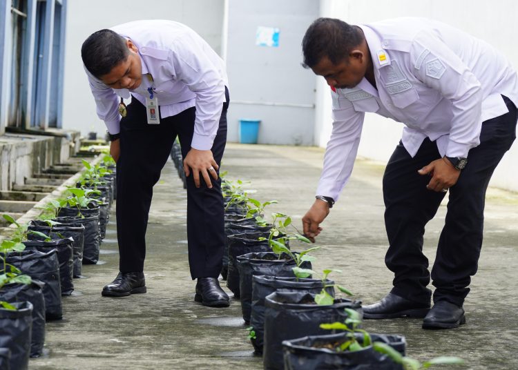 Kepala Rutan Kelas I Medan, Alanta Imanuel Ketaren (kiri) saat mengecek dan memastikan progres pertumbuhan dari bibit terong dan cabai yang ditanam   dalam pot di Rutan Medan.(Satunusantara news/HO-Humas Rutan Medan).