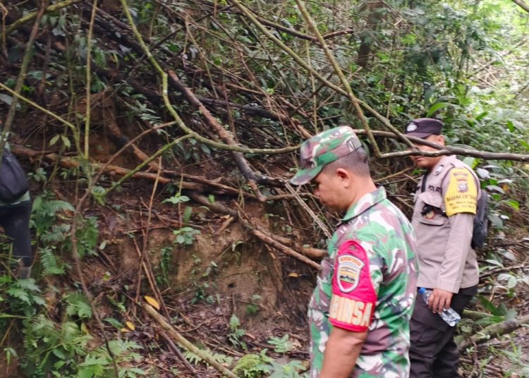 Sertu Adjilian Putra (kiri) Babinsa Koramil 02/Sidikalang, Kodim 0206/Dairi, bersama Tim BBKSDA melakukan pemasangan kamera pemantau di empat titik lokasi potensial yang menjadi jalur perlintasan satwa liar, khususnya harimau. 
di lingkungan IV, Lae Gerat, Kelurahan Panji Dabutar, Kecamatan Sitinjo, Kabupaten Dairi.(Satunusantara news/HO-Kodim 0206/Dairi).