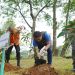 PLN UID Sumut laksanakan penanaman pohon di Taman Cadika Johor Medan