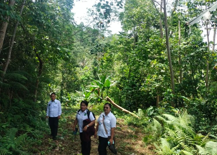 Penyuluh Agama Kristen Kemenag Kabupaten Nias,  Sudi Agusriang Harefa (kiri) dan rekan harus berjalan kaki sepanjang tiga kilomoter untuk menempuh daerah 3 T di Desa Lolo'ana'a, Kecamatan Gido, Kabupaten Nias (Satunusantara news/HO-Humas Kemenag Sumut).