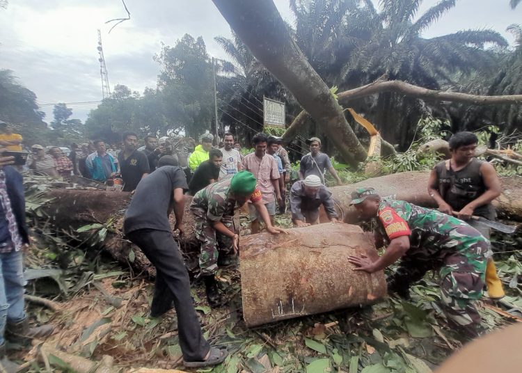 Personel Koramil 19/Siais, Kodim 0212/Tapsel bersama masyarakat ,mengevakuasi pohon tumbang akibat hantaman angin kencang di wilayah Desa Sibangkua Kecamatan  Angkola Barat, Kabupaten Tapsel.(Satunusantara news/HO-Kodim 0212/Tapsel).