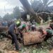 Personel Kodim 0212/Tapsel bersama masyarakat evakuasi pohon yang tumbang di Desa Sibangkua