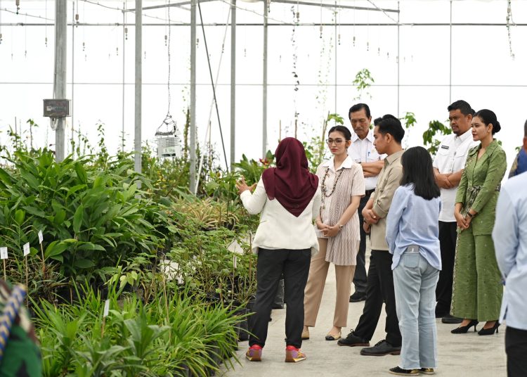 Wapres RI, Gibran Rakabuming Raka (dua kanan) bersama istri Selvi Gibran Rakabuming meninjau Taman Sains Teknologi Herbal dan Hortikultura (TSTH2) di Kecamatan Pollung, Kabupaten Humbahas, Sumatera Utara.(Satunusantara news/HO-Diskominfo Sumut).