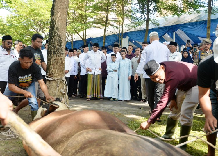 Gubernur Sumut Bobby Nasution (tengah) saat menyaksikan  pemotongan hewan kurban di Masjid Agung Sultan Thaf Sinar Basarsyah, usai melaksanakan Shalat Idul Adha 1446 H di Alun-alun Pemkab Deliserdang, Lubukpakam.(Satunusantara news/HO-Diskominfo Sumut)., Jumat (06/06).