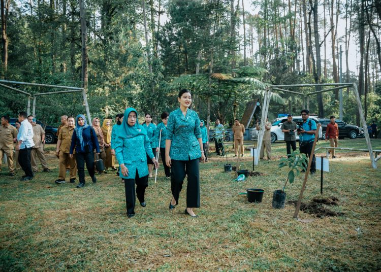 Ketua TP PKK Provinsi Sumatera Utara  Kahiyang Ayu bersama Staf Ahli I TP PKK Titiek Sugiharti, saat  melakukan penanaman pohon di Tahura Bukit Barisan, Kabupaten Karo.(Satunusantara news/HO-Diskominfo Sumut).