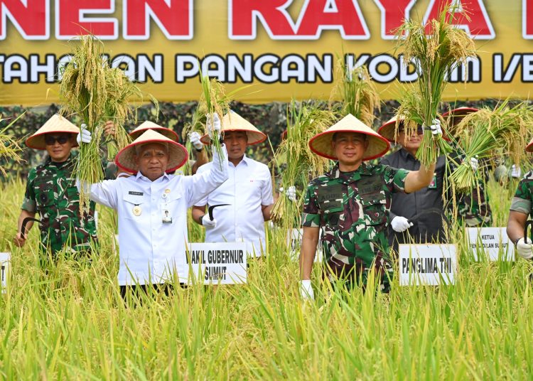 Wakil Gubernur Sumut,  Surya (kiri) bersama Panglima TNI Agus Subiyanto, saat melaksanakan panen raya padi di Lahan Ketahanan Pangan Kodam I/ BB, Desa Perkebunan Ramunia, Kecamatan Pantai Labu, Kabupaten Deliserdang.(Satunusantara news/HO-Diskominfo Sumut).