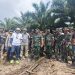 Danrem 031/WB: Musnahkan sawit ilegal di kawasan Taman Nasional Tesso Nillo Pelalawan