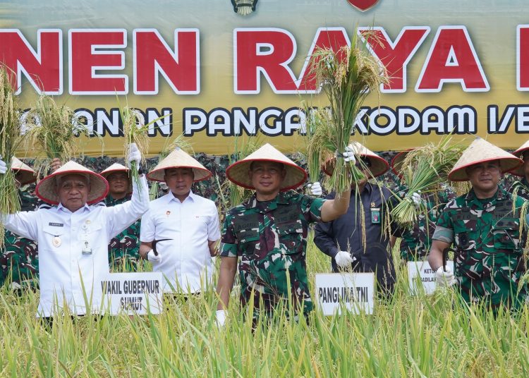Panglima TNI, Jenderal TNI Agus Subiyanto (tengah) saat melakukan panen raya padi pada lahan ketahanan pangan Kodam I/BB di Desa Sidoarjo, Ramunia, Kabupaten Deli Serdang.(Satunusantara news/HO-Pendam I/BB).