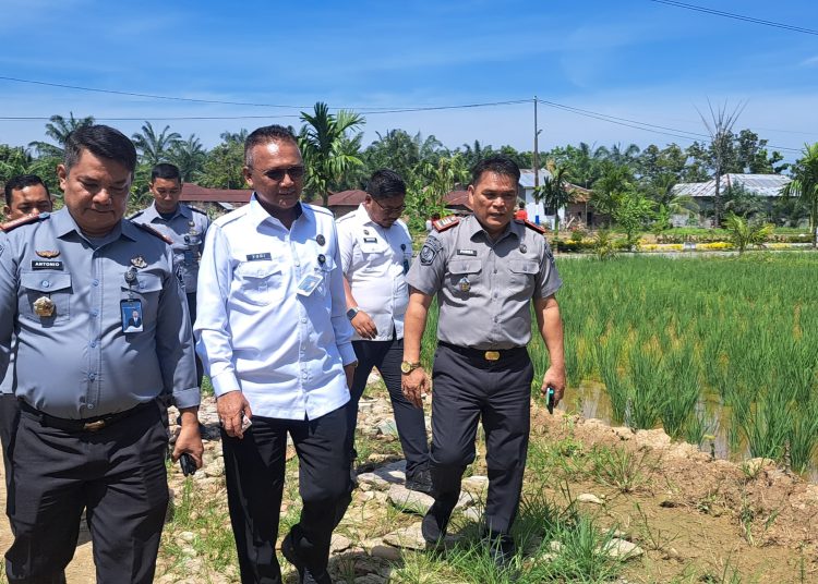 Kakanwil  Ditjend Pemasyarakatan Sumut,  Yudi Suseno (tengah) saat meninjau lokasi menetapkan Lapas Narkotika Langkat sebagai lokasi pengembangan "Ketahanan Pangan Terpadu Langkat Indonesia", yang pusatnya berada di Lapas Narkotika Kelas IIA  Langkat.(Satunusantara news/HO-Kanwil Ditjend Pemasyrakatan Sumut).