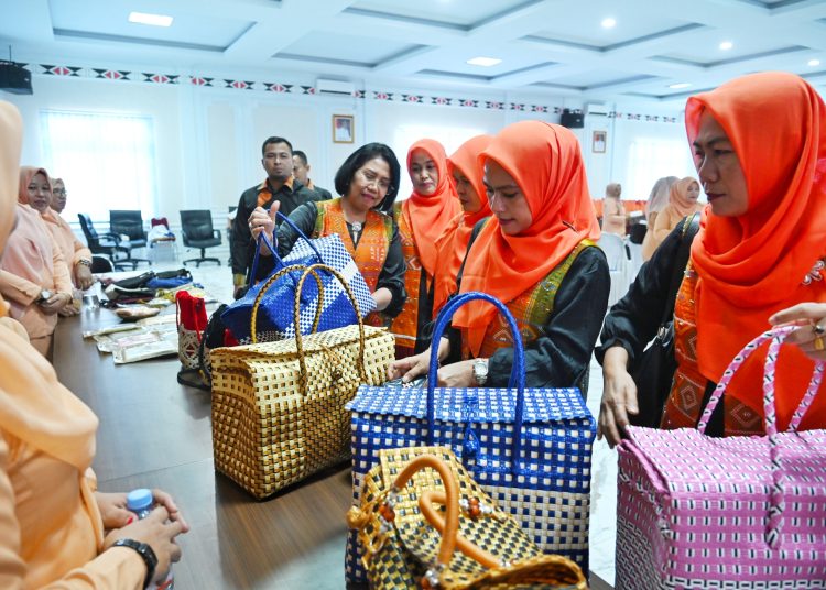 Ketua DWP Provinsi Sumut Dita Togap Simangunsong (kiri) saat melihat balita di Kabupaten Madina.(Satunusantara news/HO-Diskominfo Sumut)