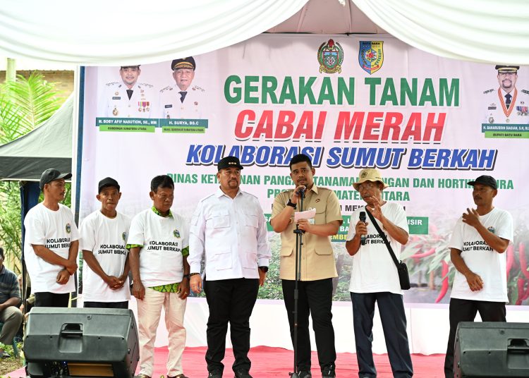 Gubernur Sumut Bobby Nasution (dua kanan) pada acara Gerakan Tanam Cabai Merah di Kabupaten Batubara.(Satunusantara news/HO-Diskominfo Sumut).,