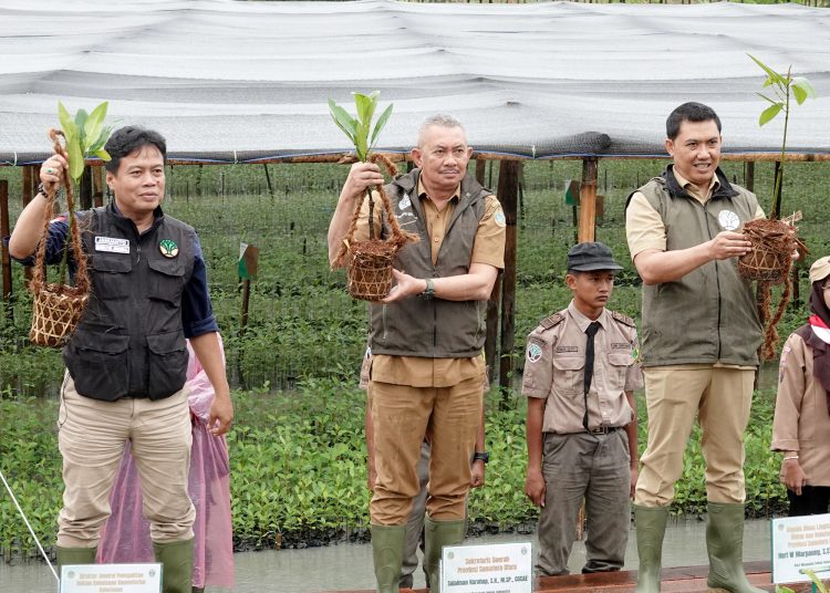 Pj. Sekdaprov Sumut, Sulaiman Harahap (tengah) saat menanam mangrove di areal Suaka Margasatwa Karang Gading, Desa Karang Gading, Kecamatan Labuhan Deli, Kabupaten Deliserdang.(Satunusantara news/HO-Diskominfo Sumut).