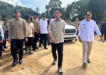 Wagub Sumut dampingi Wapres RI Gibran tinjau dua lokasi banjir dan longsor di Tapsel