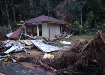 Kepala BNPB: Dampak bencana banjir di Sumut korban meninggal bertambah jadi 166 jiwa