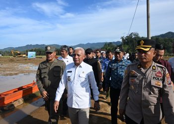 Pemprov Sumut komitmen penuh pulihkan sektor pertanian pascabencana alam yang melanda sejumlah wilayah