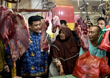 Gubernur Sumut tinjau harga bahan pokok di Pasar Sukaramai Medan