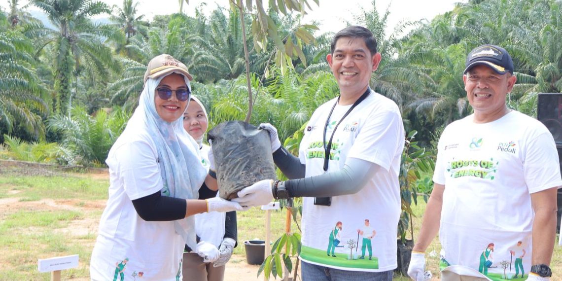 Manajer PLN UP3 Sibolga, Bachtiar (tengah)  didampingi  Wakil Bupati Tapteng H Mahmud Efendi Lubis (kanan)  saat menyerahkan bibit  pohon kepada Camat Sorkam Barat, Ibu Khairun Nisa Marbun (kiri) di Sorkam Barat.(Satunusantara news/HO-Humas PLN UID Sumut).