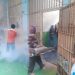 Lapas Kelas I Medan laksanakan kegiatan foging cegah Demam Berdarah Dengue
