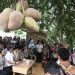 Gubernur Sumut dengarkan langsung keluhan masyarakat Labusel mulai dari perbaikan fasilitas pendidikan