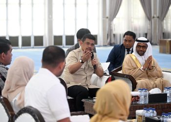 Gubernur Sumut tawarkan sejumlah investasi dan kerja sama strategid dengan Uni Emirat Arab