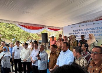PLN perkuat dukungan program KDKMP melalui kolaborasi layanan kelistrikan kepada masyarakat