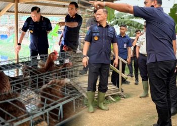 Kakanwil Ditjenpas Sumut kunker ke lahan ketahanan pangan Rutan Kelas IIB Tanjung Pura